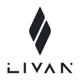 Размеры колёс на Livan