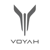Размеры колёс на Voyah
