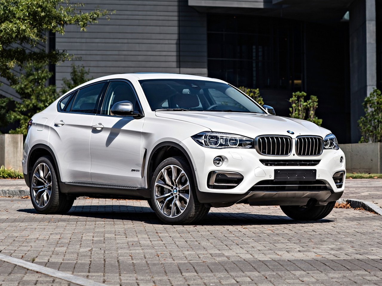 Подбор шин на BMW X6 (E71, E72)