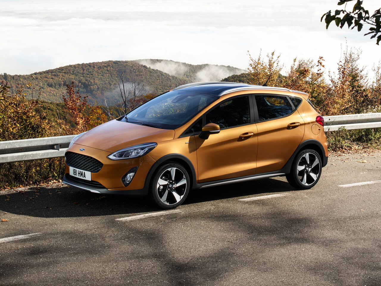 Подбор шин на Ford Fiesta Active