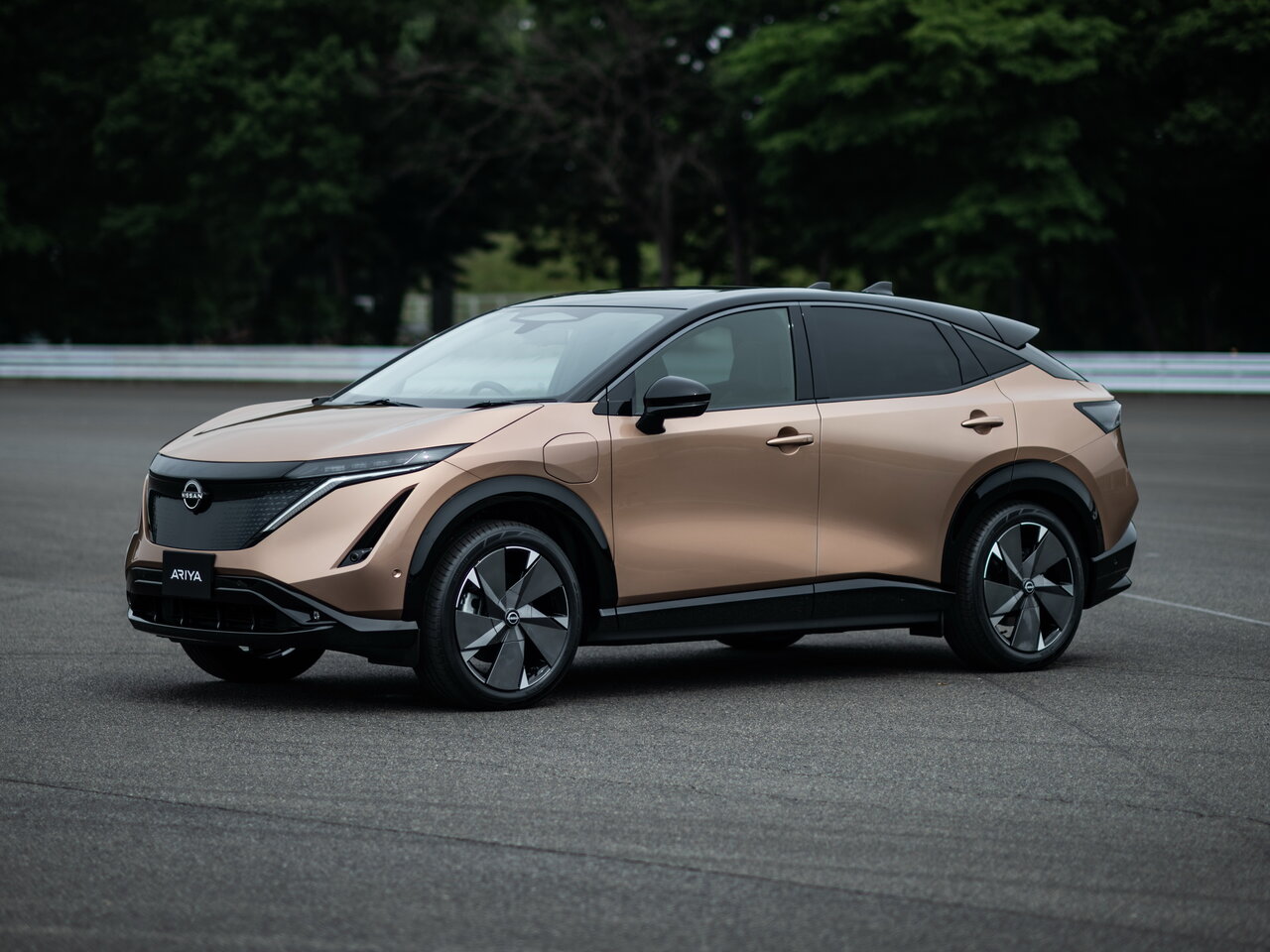 Подбор шин на Nissan Ariya 