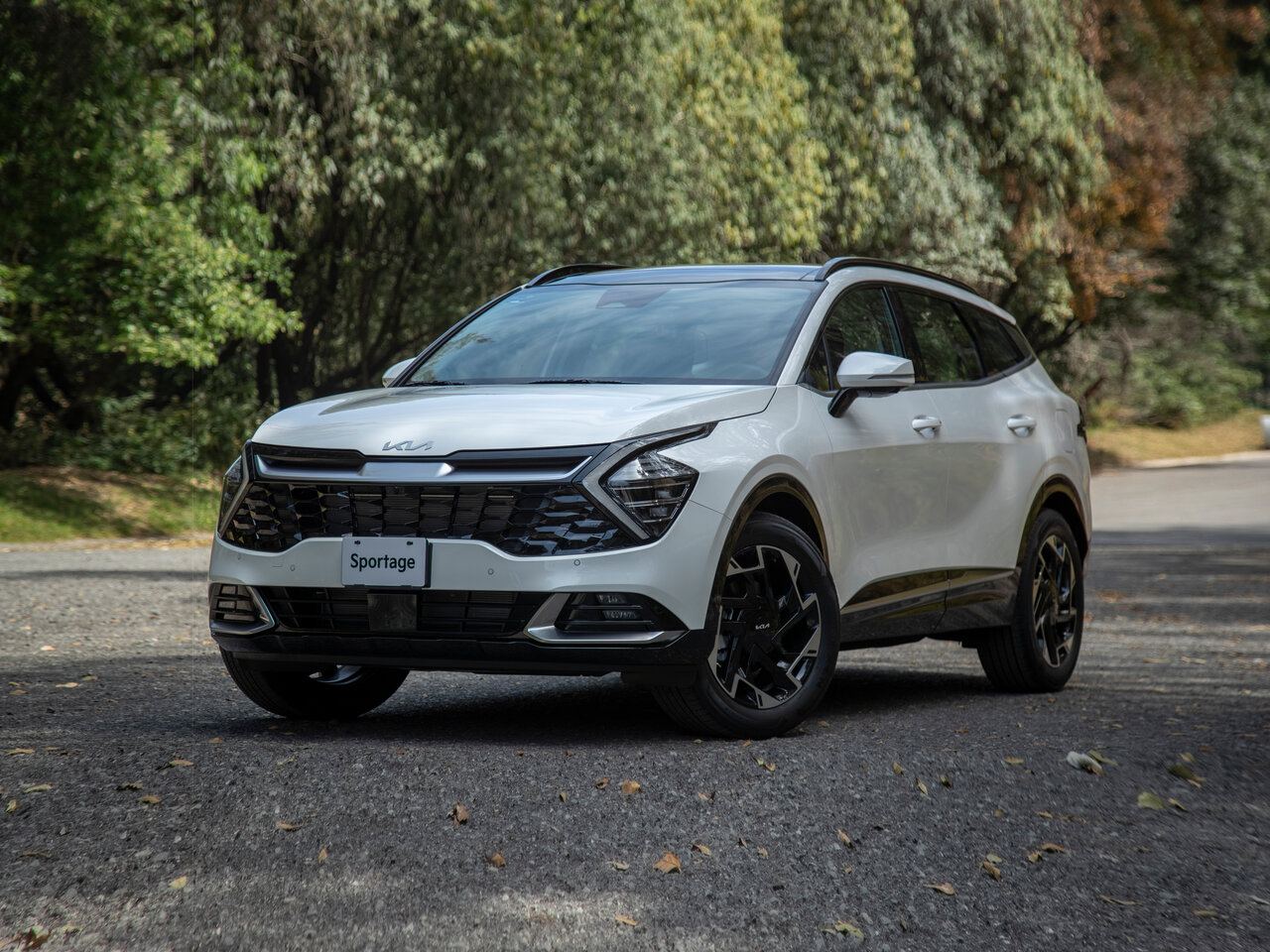 Подбор шин на Kia Sportage V (NQ5)