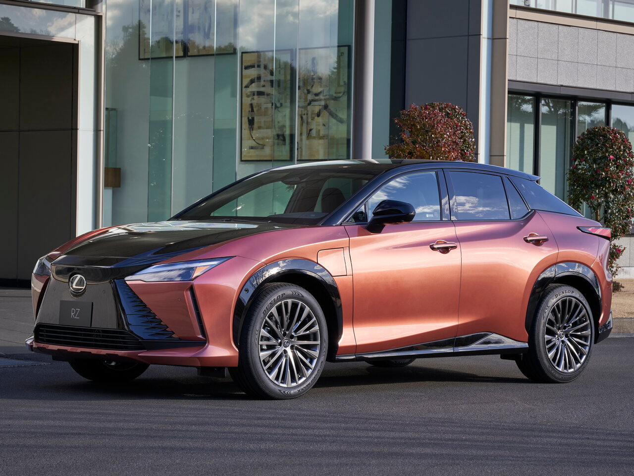 Подбор шин на Lexus RZ