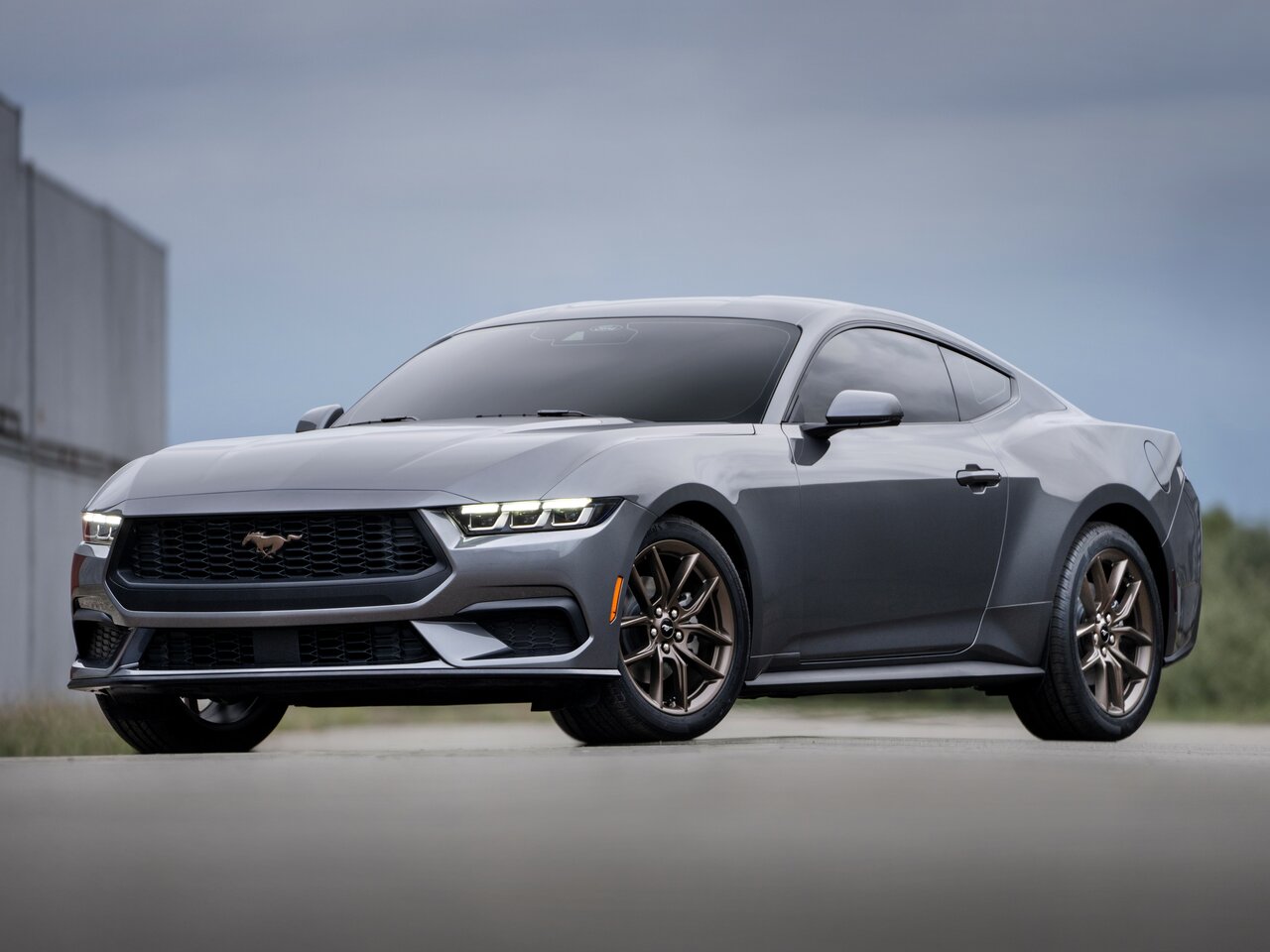 Подбор шин на Ford Mustang Shelby GT350 III