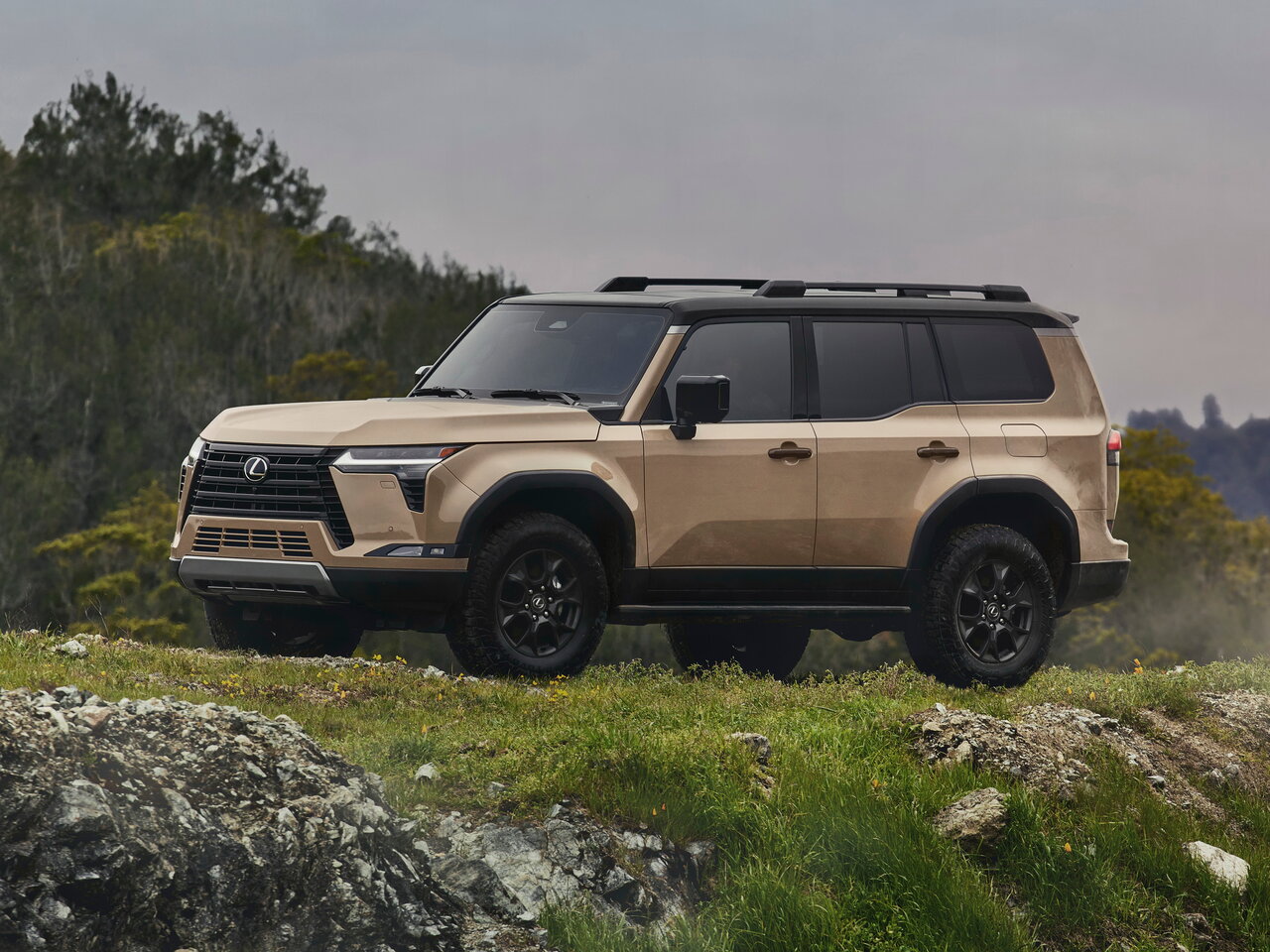 Подбор шин на Lexus GX III (J250)