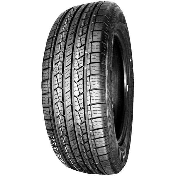 225/60R17 DoubleStar DS01 99H